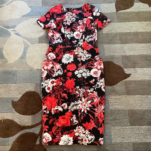 Alexis Admor Scuba Sheath - Picture 4 of 8